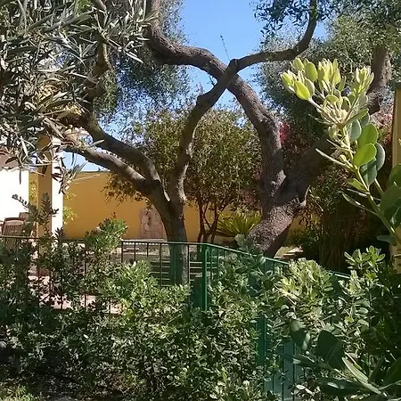 Piluvia * SantʼAntìoco